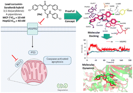Graphical abstract: Novel curcumin-based analogues as potential VEGFR2 inhibitors with promising metallic loading nanoparticles: synthesis, biological evaluation, and molecular modelling investigation