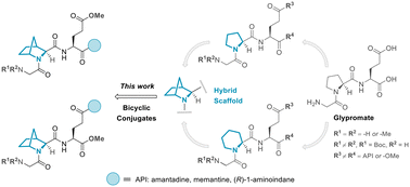 Graphical abstract: Discovery of hybrid Glypromate conjugates with neuroprotective activity against paraquat-induced toxicity