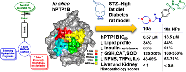Graphical abstract: Development, biological evaluation, and molecular modelling of some benzene-sulfonamide derivatives as protein tyrosine phosphatase-1B inhibitors for managing diabetes mellitus and associated metabolic disorders