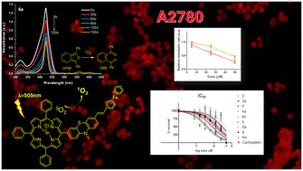 Graphical abstract: meso-Substituted AB3-type phenothiazinyl porphyrins and their indium and zinc complexes photosensitising properties, cytotoxicity and phototoxicity on ovarian cancer cells