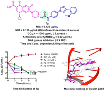 Graphical abstract: Design, synthesis, and biological evaluation of pyrazole–ciprofloxacin hybrids as antibacterial and antibiofilm agents against Staphylococcus aureus