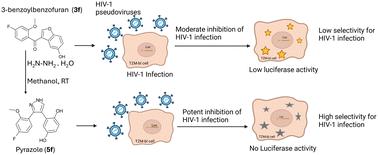 Graphical abstract: The synthesis and investigation of novel 3-benzoylbenzofurans and pyrazole derivatives for anti-HIV activity