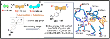 Graphical abstract: Synthesis of fluorinated tubastatin A derivatives with bi-, tri-, and tetracyclic cap groups: molecular docking with HDAC6 and evaluation of in vitro antitumor activity