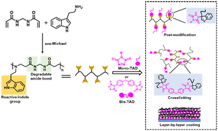 Graphical abstract: Reactive degradable linear poly(aminoamide)s: synthesis, post-polymerization modifications and layer-by-layer coating