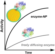 Graphical abstract: Enhancing enzymatic activity with nanoparticle display – an updated compendium and engineering outlook