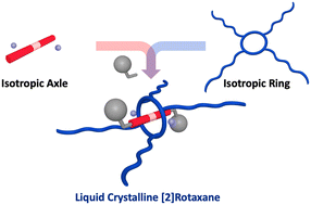 Graphical abstract: Design of ionic liquid crystals enabled by [2]rotaxane structure formation