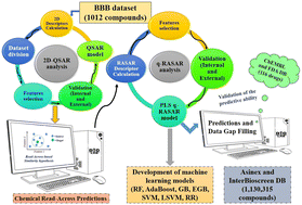Graphical abstract: Innovative strategies for the quantitative modeling of blood–brain barrier (BBB) permeability: harnessing the power of machine learning-based q-RASAR approach