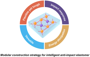 Graphical abstract: Intelligent anti-impact elastomers by precisely tailoring the topology of modular polymer networks
