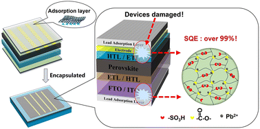 Graphical abstract: Preventing lead leakage in perovskite solar cells and modules with a low-cost and stable chemisorption coating