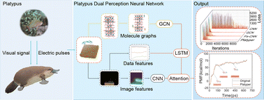 Graphical abstract: Biomimetic fusion: Platyper's dual vision for predicting protein–surface interactions