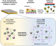 Graphical abstract: Composited silk fibroins ensured adhesion stability and magnetic controllability of Fe3O4-nanoparticle coating on implant for biofilm treatment