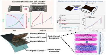 Graphical abstract: Adaptive nanotube networks enabling omnidirectionally deformable electro-driven liquid crystal elastomers towards artificial muscles