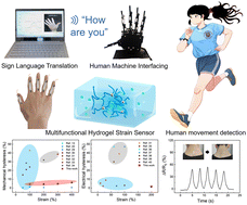 Graphical abstract: Low hysteresis, water retention, anti-freeze multifunctional hydrogel strain sensor for human–machine interfacing and real-time sign language translation