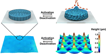 Graphical abstract: Transforming patterned defects into dynamic poly-regional topographies in liquid crystal oligomers