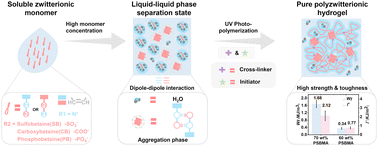 Graphical abstract: New insights into pure zwitterionic hydrogels with high strength and high toughness