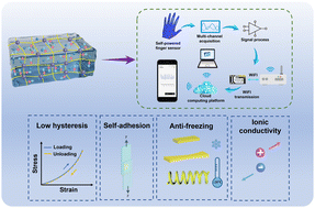 Graphical abstract: Low hysteresis zwitterionic supramolecular polymer ion-conductive elastomers with anti-freezing properties, high stretchability, and self-adhesion for flexible electronic devices