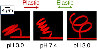 Graphical abstract: Elasto-plastic effects on shape-shifting electron-beam-patterned gel-based micro-helices