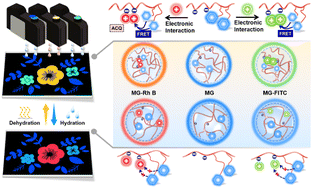 Graphical abstract: Water-sensitive fluorescent microgel inks to produce verifiable information for highly secured anti-counterfeiting