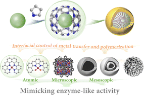 Graphical abstract: Linking atomic to mesoscopic scales in multilevel structural tailoring of single-atom catalysts for peroxide activation