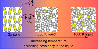 Graphical abstract: Resolving decades of debate: the surprising role of high-temperature covalency in the structure of liquid gallium