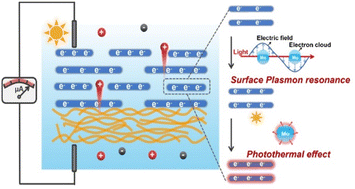 Graphical abstract: Heterogeneous CNF/MoO3 nanofluidic membranes with tunable surface plasmon resonances for solar-osmotic energy conversion