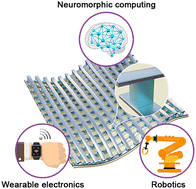 Graphical abstract: Recent advances in flexible memristors for advanced computing and sensing