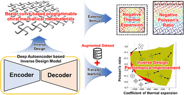 Graphical abstract: Inverse design of Bézier curve-based mechanical metamaterials with programmable negative thermal expansion and negative Poisson's ratio via a data augmented deep autoencoder