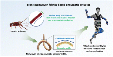 Graphical abstract: Pre-programmable pneumatic actuator: leveraging mechanical anisotropy of nonwoven fabrics with an integrated tensile sensor