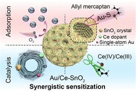 Graphical abstract: Synergistic sensitization effects of single-atom gold and cerium dopants on mesoporous SnO2 nanospheres for enhanced volatile sulfur compound sensing