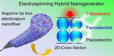 Graphical abstract: Electrospun polarity-controlled molecular orientation for synergistic performance of an artifact-free piezoelectric anisotropic sensor