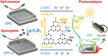 Graphical abstract: Designing a photocatalytic and self-renewed g-C3N4 nanosheet/poly-Schiff base composite coating towards long-term biofouling resistance