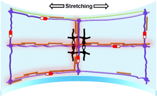 Graphical abstract: Highly flexible yet strain-insensitive conjugated polymer