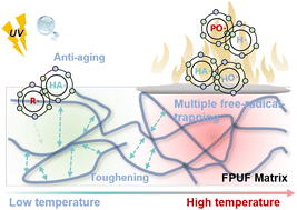 Graphical abstract: Multiple free-radical-trapping and hydrogen-bonding-enhanced polyurethane foams with long-lasting flame retardancy, aging resistance, and toughness