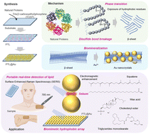 Graphical abstract: Mineralized aggregates based on native protein phase transition for non-destructive diagnosis of seborrheic skin by surface-enhanced Raman spectroscopy