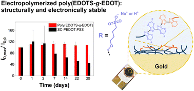 Graphical abstract: A PEDOT based graft copolymer with enhanced electronic stability