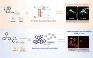 Graphical abstract: Modulation of intramolecular freedom for tuning fluorescence imaging and photooxidation of amyloid-β aggregates