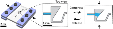 Graphical abstract: Liquid Zener diodes