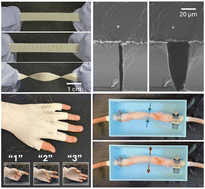 「水陸両用」センサーが新しい防水技術を可能にする(‘Amphibious’ Sensors Make New, Waterproof Technologies Possible)