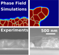 Graphical abstract: Simulation of perovskite thin layer crystallization with varying evaporation rates
