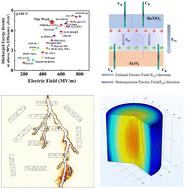 Graphical abstract: Engineering hierarchical interfaces in high-temperature polymer dielectrics for electrostatic supercapacitors