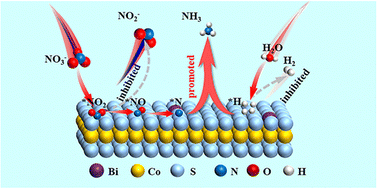 Graphical abstract: Manipulating key intermediates and suppressing the hydrogen evolution reaction via dual roles of Bi for high-efficiency nitrate to ammonia and energy conversion