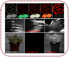 Graphical abstract: Large-scale preparation of Sb3+-activated hybrid metal halides with efficient tunable emission from visible to near-infrared regions for advanced photonic applications