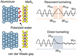 Graphical abstract: Interfacial chemistry at solid–liquid van der Waals heterojunctions enabling sub-5 nm Ohmic contacts for monolayer semiconductors