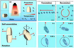 Graphical abstract: Programmable assemblies of photothermal anisotropic micromotors for multimodal motion
