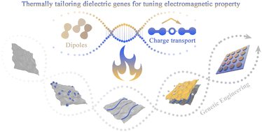 Graphical abstract: Thermally tailoring dielectric genes of graphene hybrids for tuning electromagnetic properties