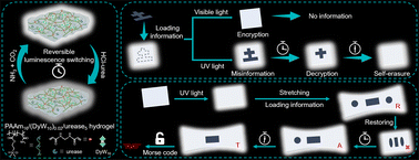 Graphical abstract: Lanthanide–polyoxometalate-based self-erasing luminescent hydrogels with time-dependent and resilient properties for advanced information encryption