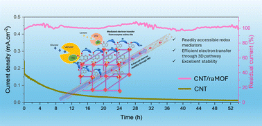 Graphical abstract: Rational design of redox active metal organic frameworks for mediated electron transfer of enzymes