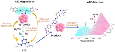 Graphical abstract: A Schiff-base-modified Cu nanocluster with redox dual-catalytic sites and fluorescence sensing for the degradation and detection of atrazine