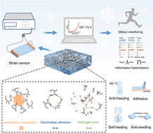 Graphical abstract: Environmentally tolerant multifunctional eutectogel for highly sensitive wearable sensors