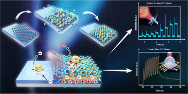 Graphical abstract: Multifunctional UV photodetect-memristors based on area selective fabricated Ga2S3/graphene/GaN van der Waals heterojunctions